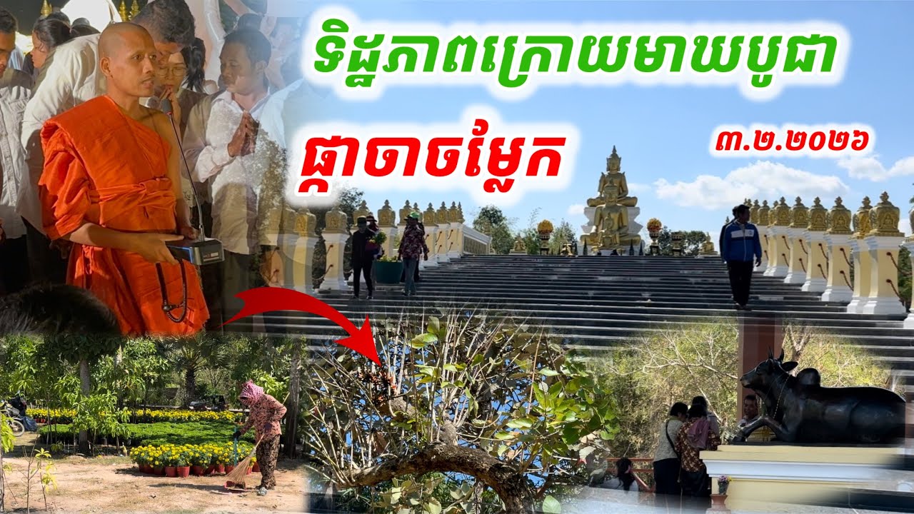 #ទិដ្ឋភាពក្រោយមាឃបូជា#ផ្កាចាចម្លែកលើកោះប្រជុំទេព(៣កុម្ភៈ២០២៦)