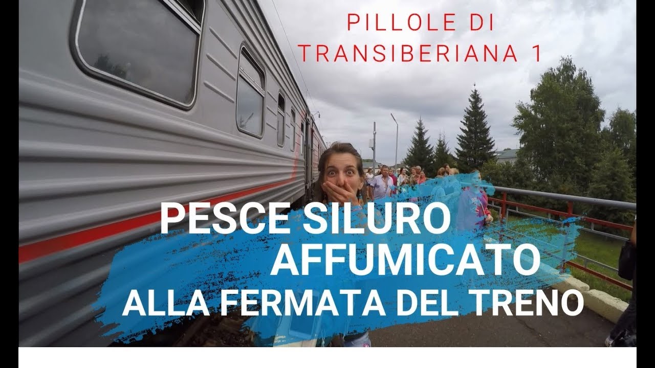 Pesce Siluro affumicato alla fermata del treno (Pillole di Transiberiana 01)