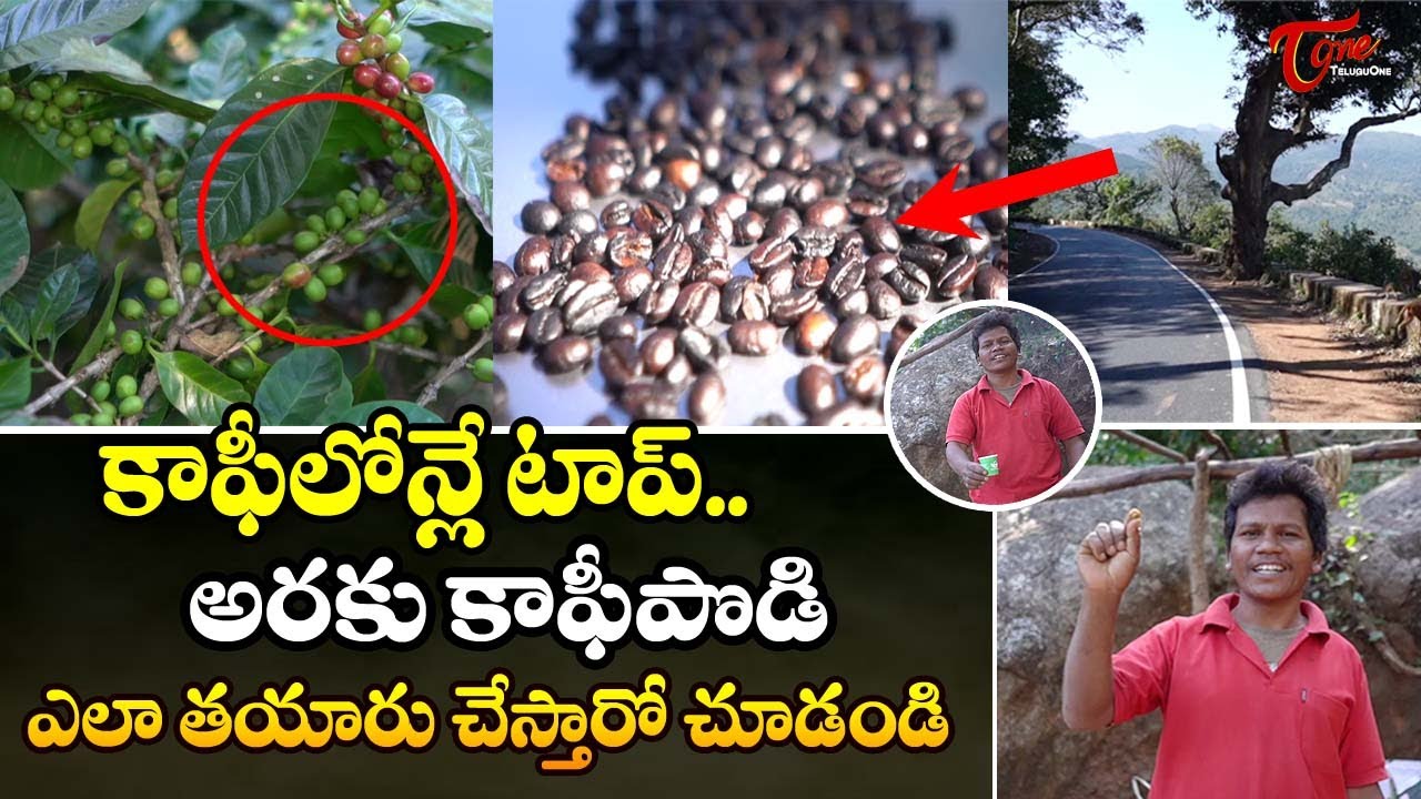 Araku Valley Coffee Powder Making Process | కాఫీల్లోనే టాప్ అరకు కాఫీ పొడి..!! TeluguOne