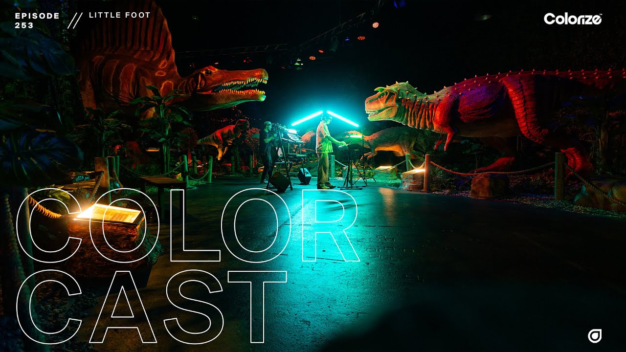 Colorcast Radio 253 with Little Foot