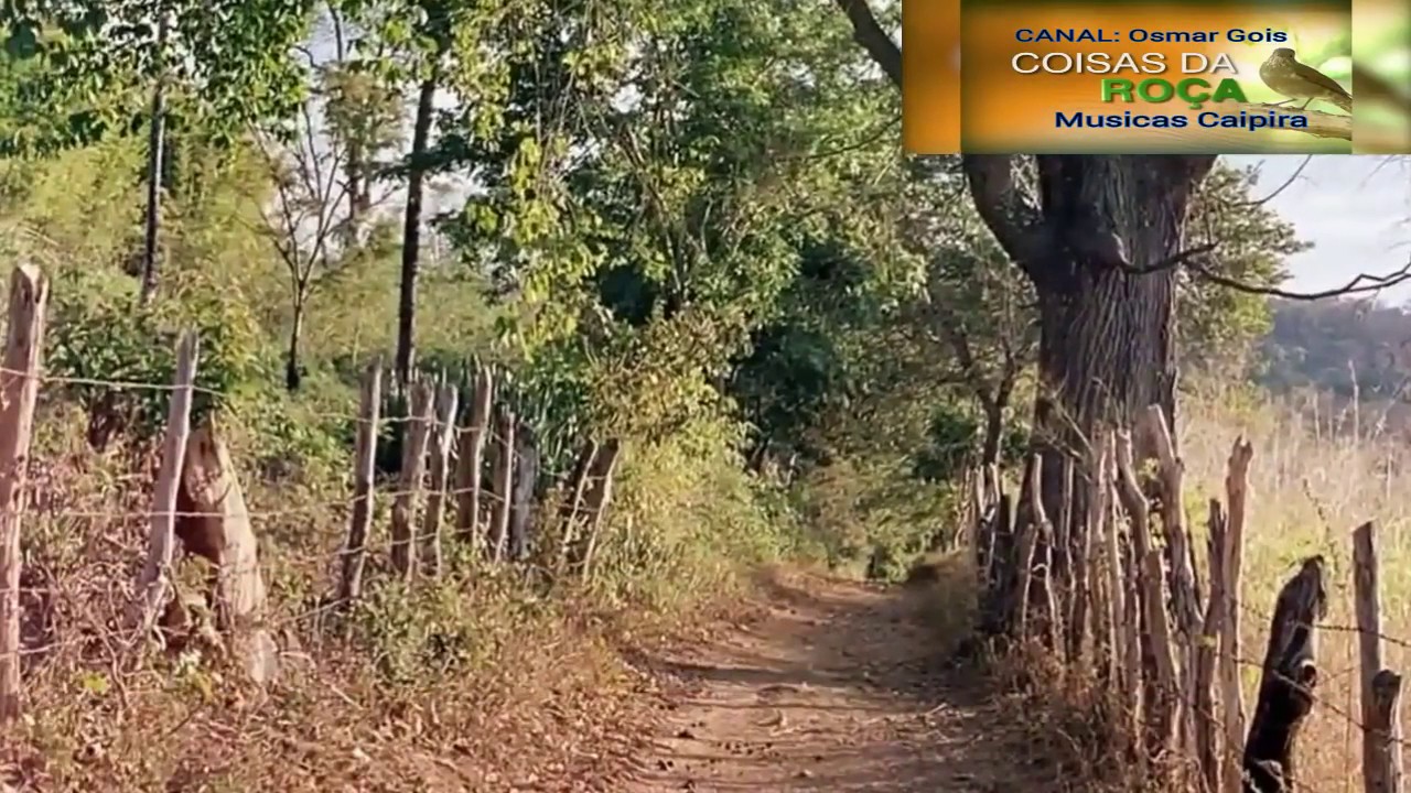 RA&Iacute;ZES SERTANEJAS // MODAS DE VIOLA - COISAS DA RO&Ccedil;A