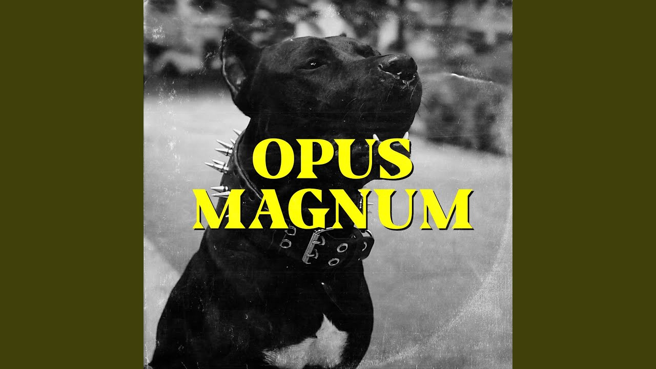 Opus Magnum