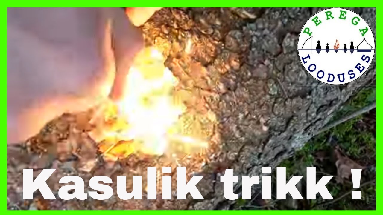 Kuidas pliiatsiteritaja aitab tuld süüdata