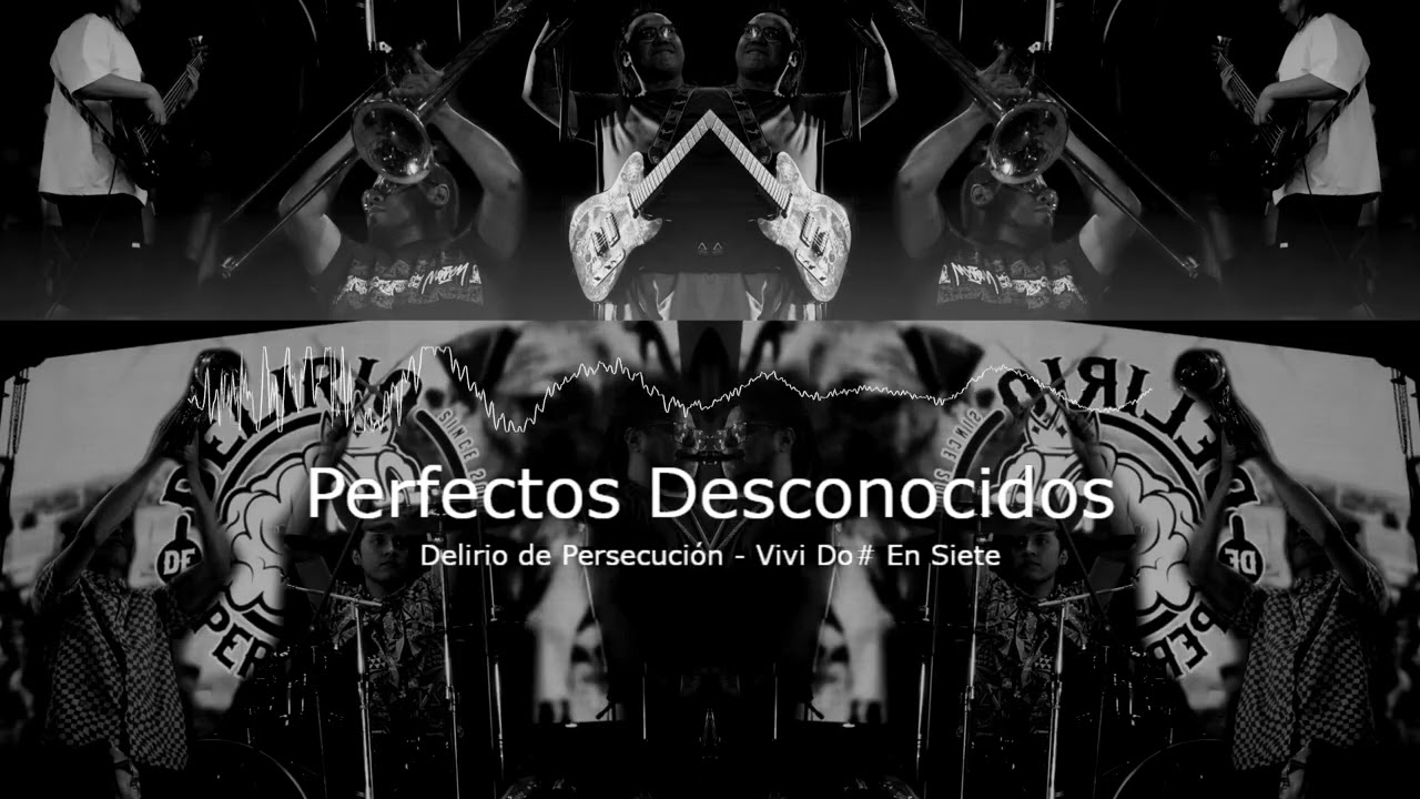 Delirio de Persecución | Perfectos Desconocidos (Live Visualizer)