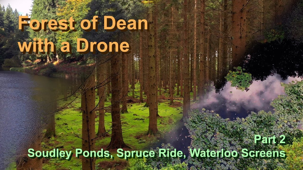 Forest of Dean with a Drone - Part 2 - Soudley Ponds, Spruce Ride & Waterloo Screens