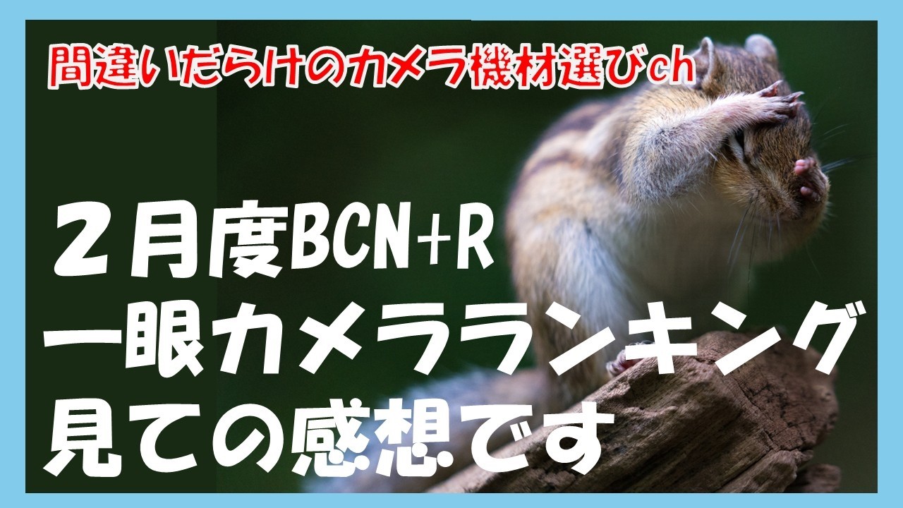 間違いだらけのカメラ機材選びch 「２月度BCN+R一眼カメラランキング見ての感想です」