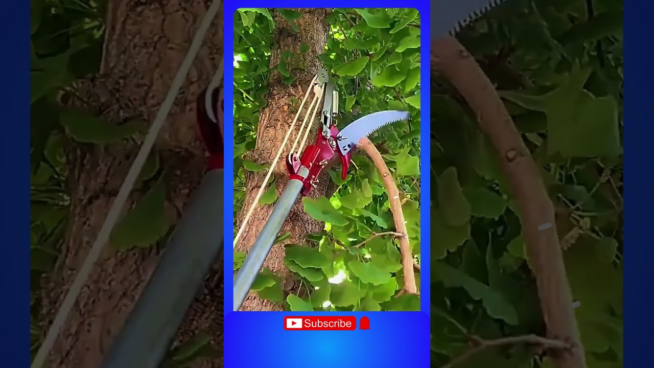 Install High-Branch Pruning Tools Easily | DIY Tree Trimming Guide