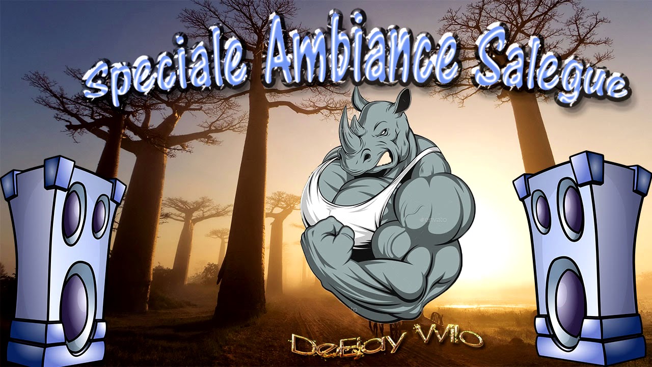 SPECIALE AMBIANCE SALEGUE Mix_ DeEjay Wilo 974_Pression Direck Da Tete-(Vol2)