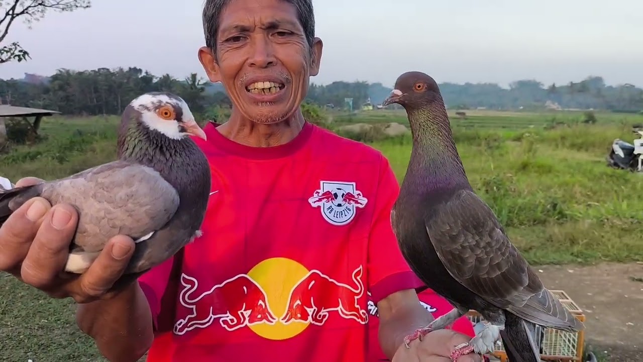 BAGUS GAK BOS | TES MERPATIKU DI LAPAK