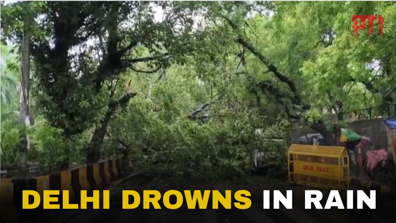 Heavy rain floods Delhi-NCR, uproots trees, triggers traffic chaos across key roads