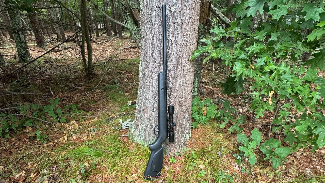 Gamo Varmint - Break Barrel Pellet Rifle. #varminthunting #airgunhaunting #airsoft 