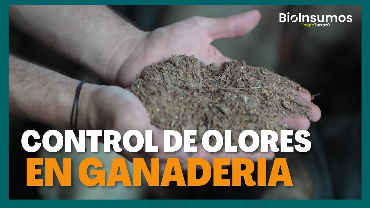 Uso del BioDegra en control de olores en la Ganader&iacute;a | Jose Andr&eacute;s Navarro