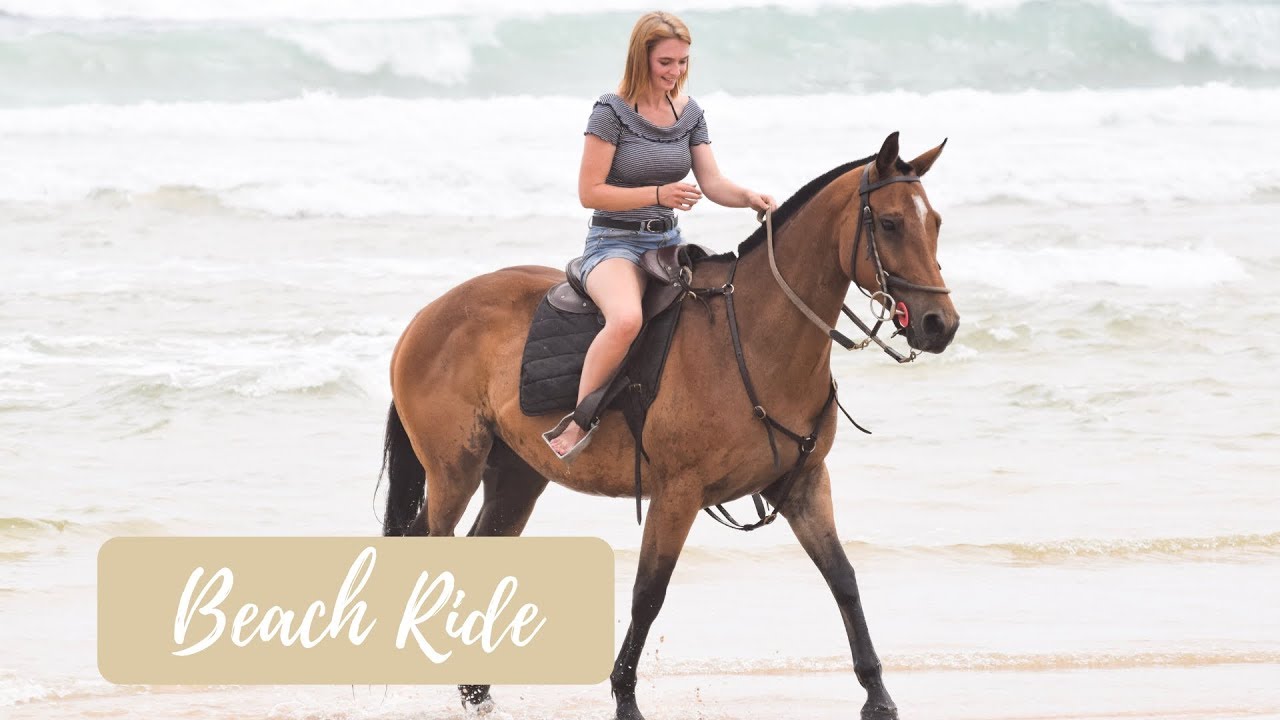 BEACH HORSE RIDE ON POLOCROSSE PONIES // Swimming with horses in the ocean