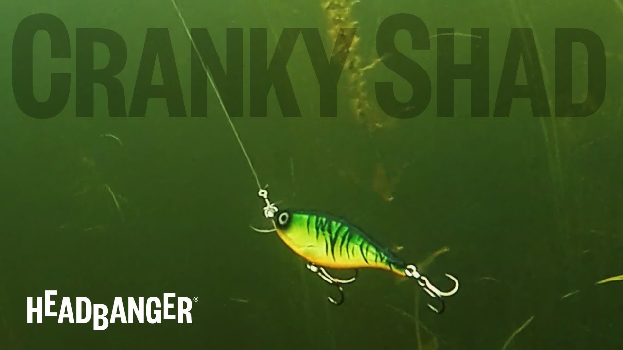 Headbanger Cranky Shad - Swimming Action