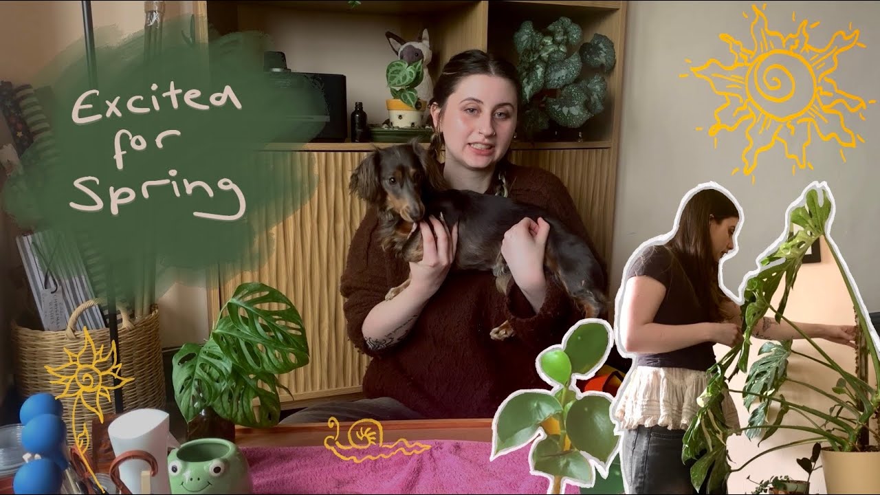 Pot up and prop with me 🪴| cozy plant chores and ramble 