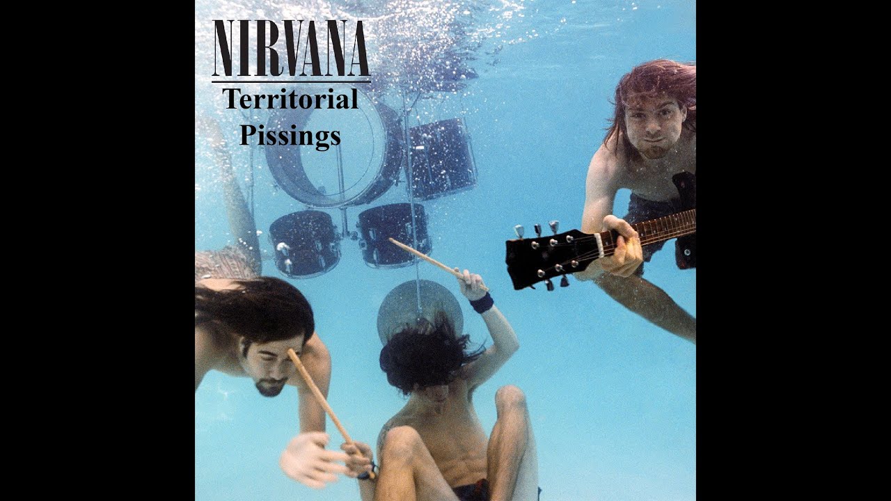 Nirvana Territorial Pissings guitar backing track with Vocals