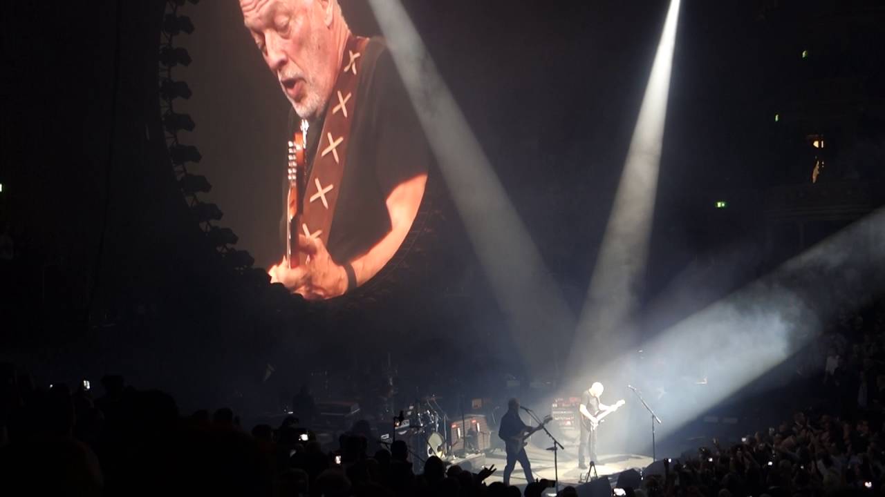 David Gilmour & Benedict Cumberbatch - Comfortably Numb @ Royal Albert Hall 28th September 2016