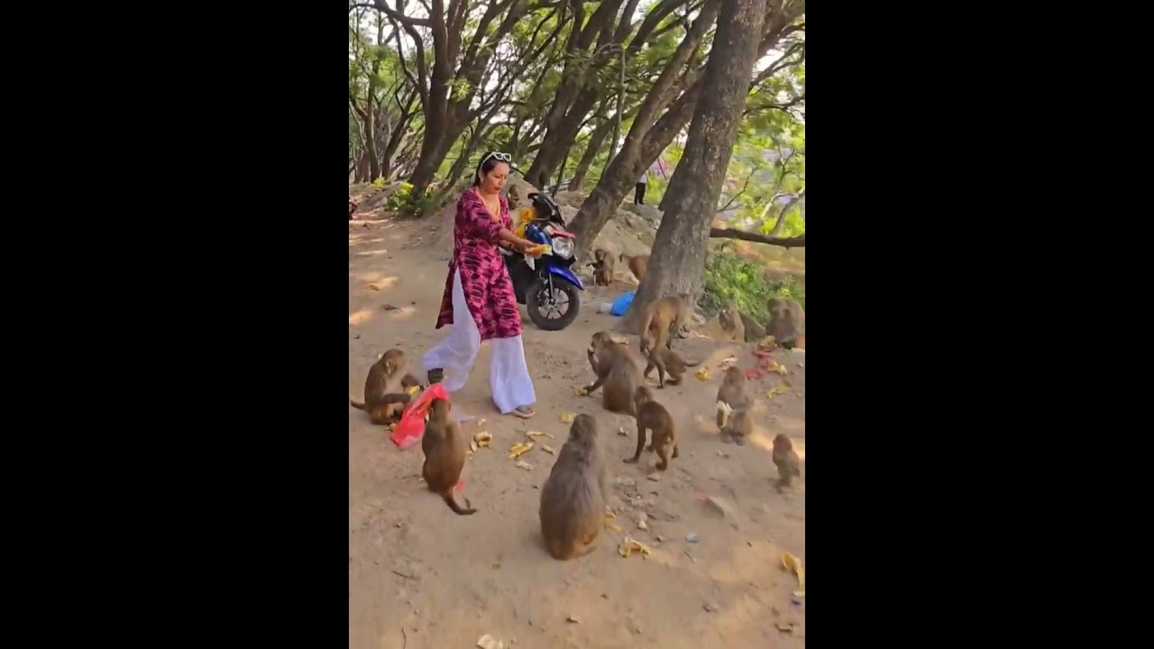 Herda herdai  Ashika Tamang 