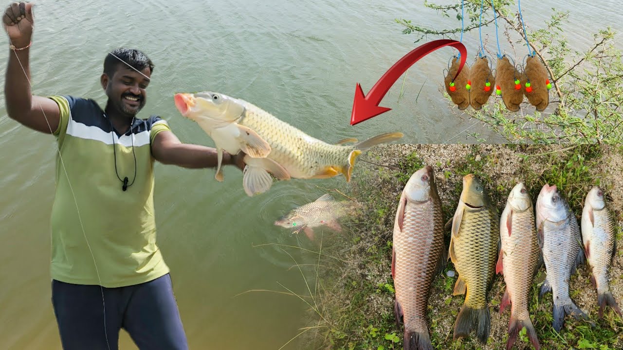 fish | pda| feeder fishing| how to catch big fishes| fishing