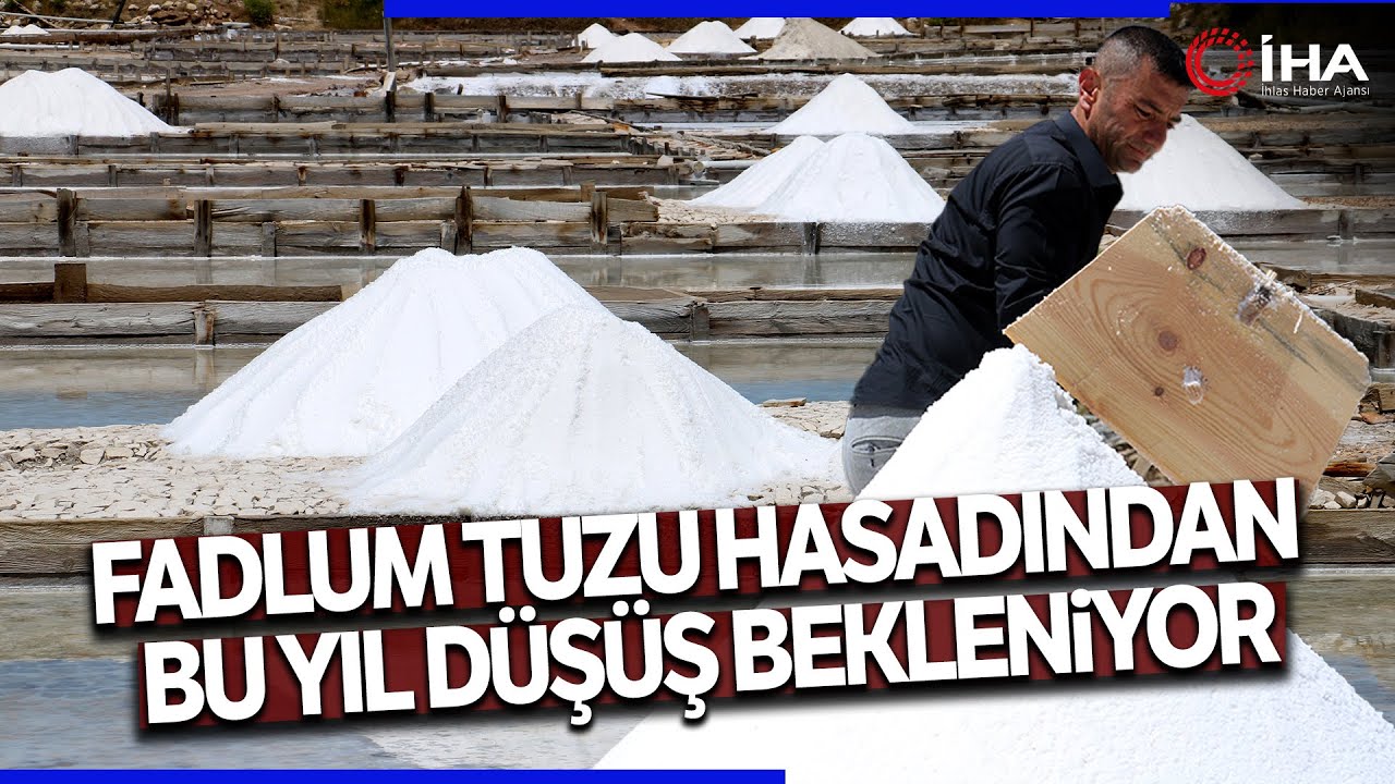 Fadlum Tuzunun Rekoltesinde Düşüş!
