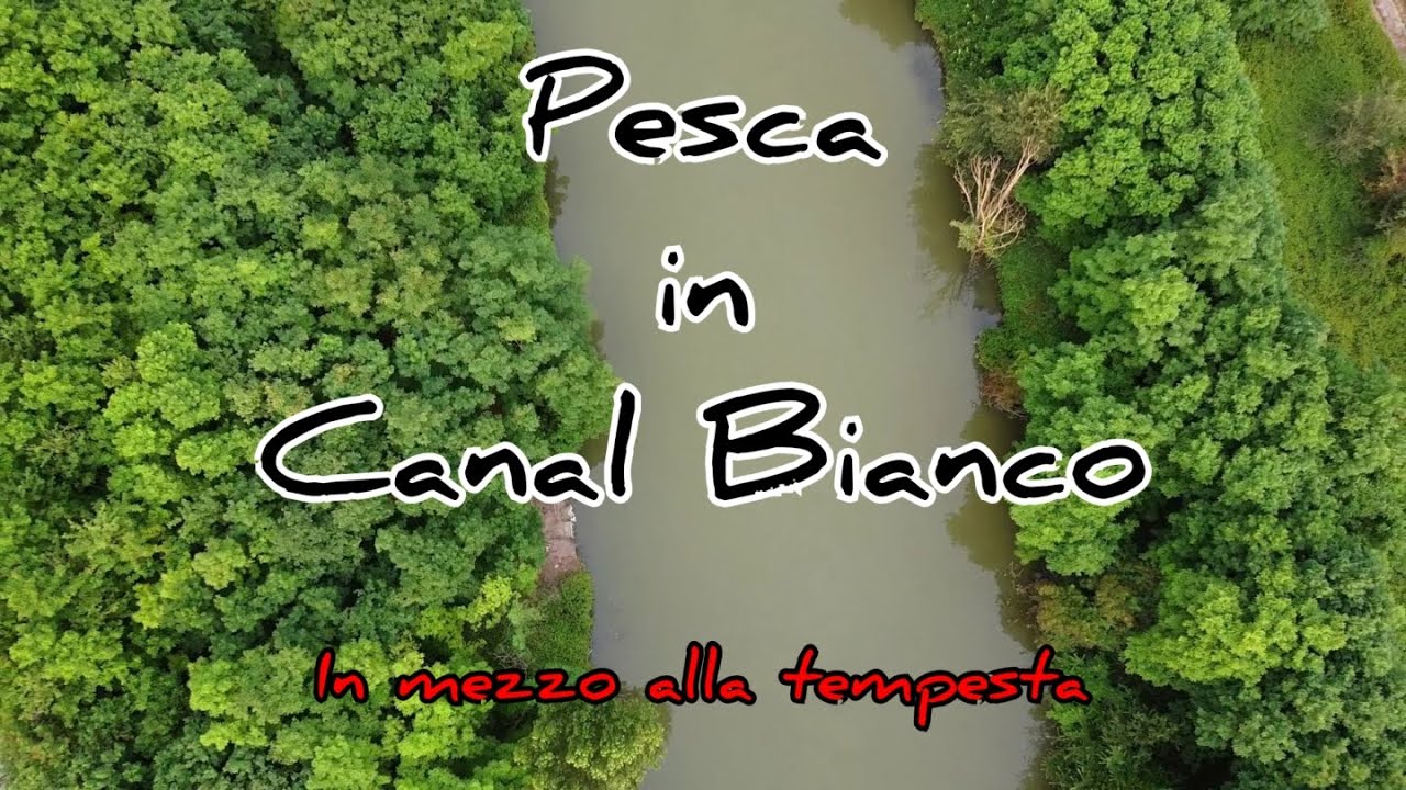 Pesca in Canal Bianco - In mezzo alla tempesta