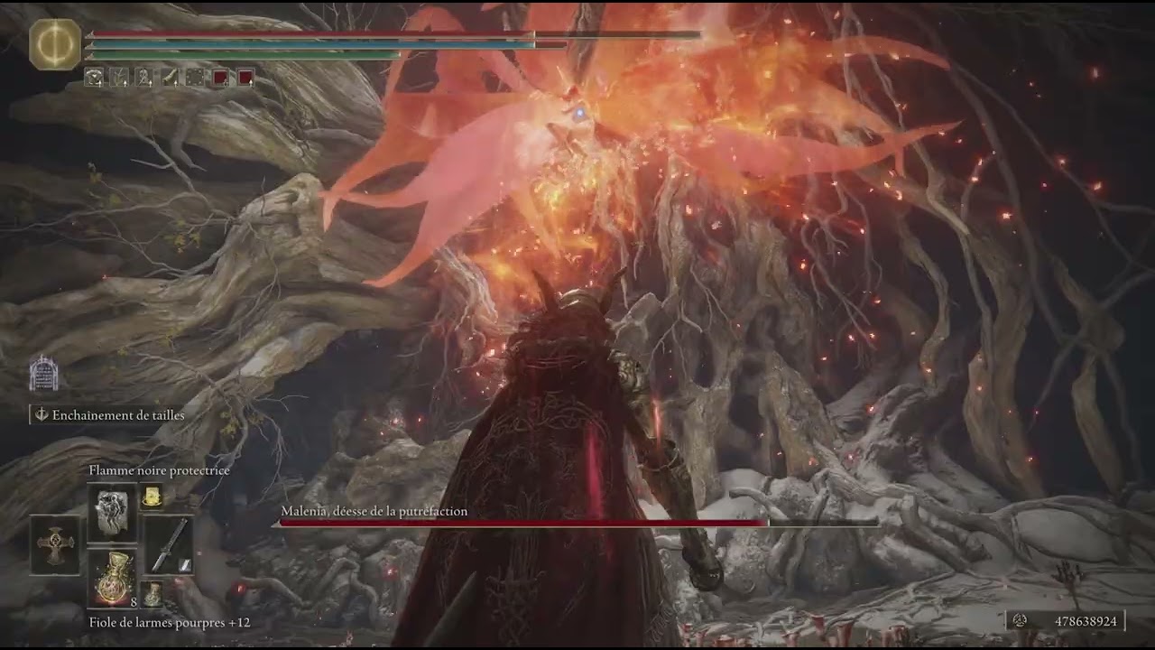 Malenia ng5 Vs Malenia with Wakizashi pary + Ice Nagakiba