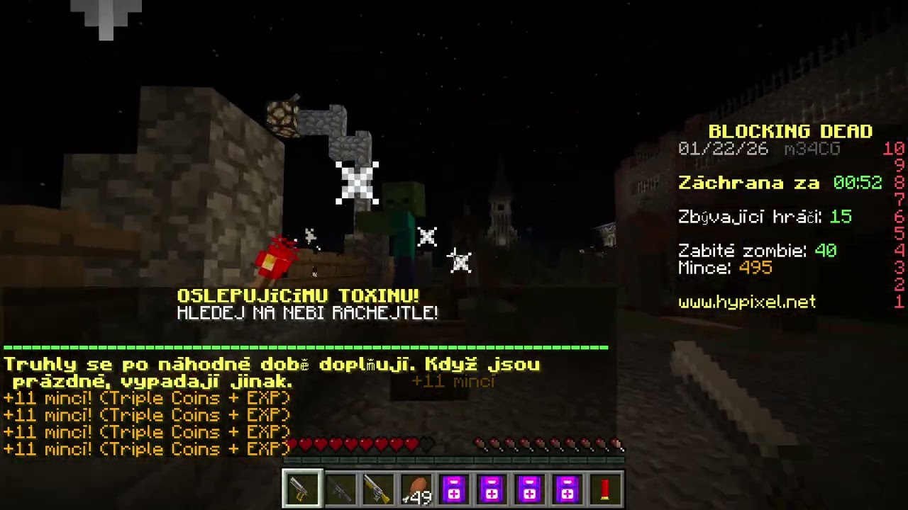 Hypixel - Blocking Dead - Full Screen #68