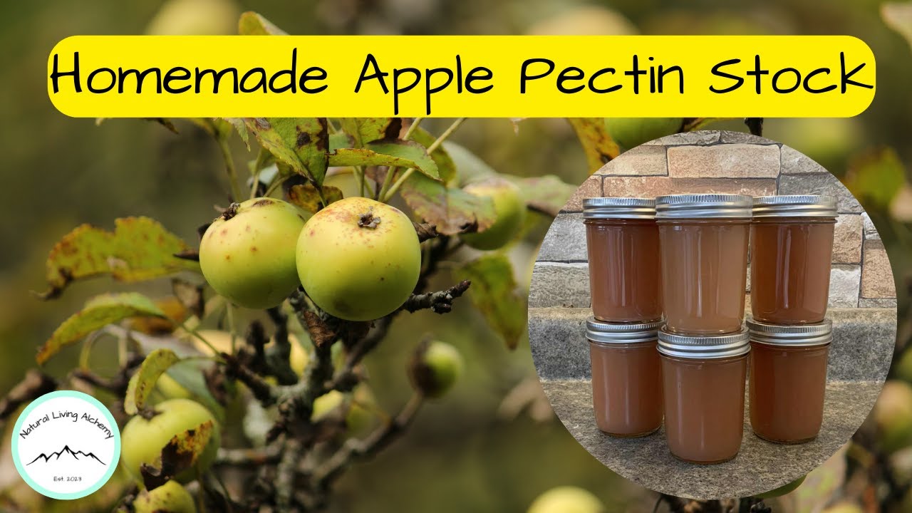 Homemade Apple Pectin Stock Tutorial