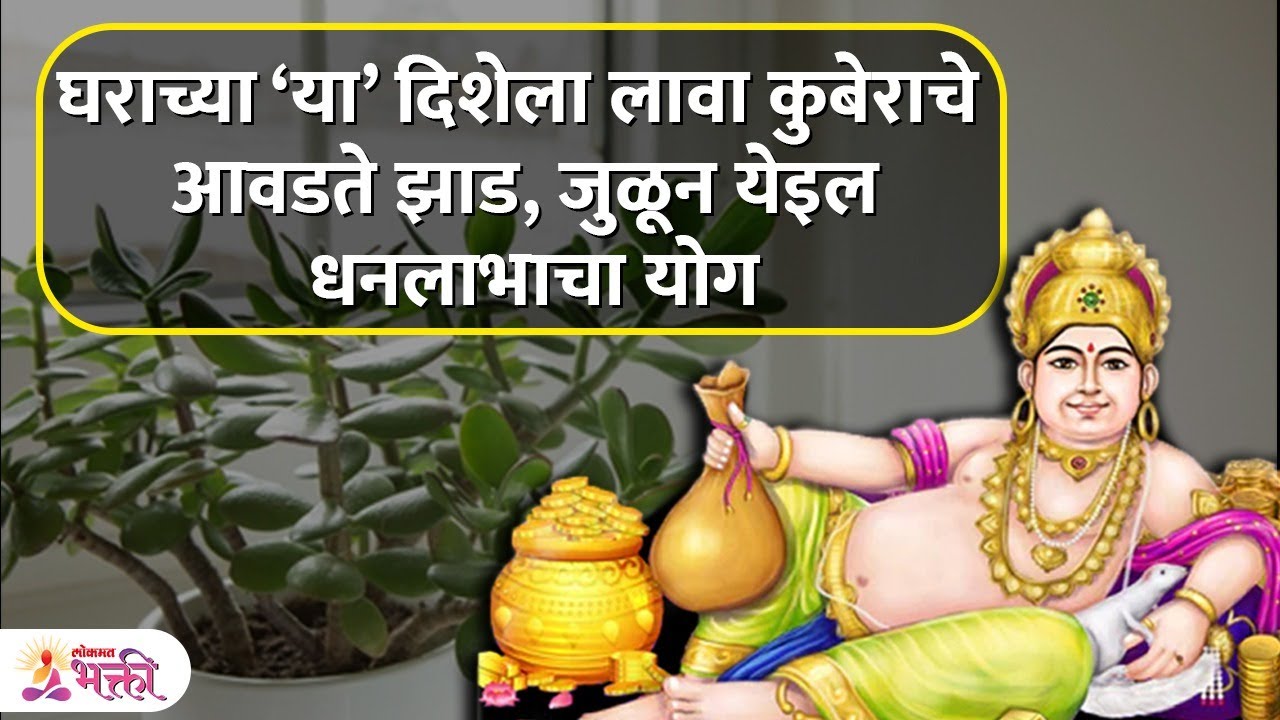 घरात लावा कुबेरांची आवडती वनस्पती होईल लाभच लाभ | Vastu Tips for Home | Kuber Plant For Money