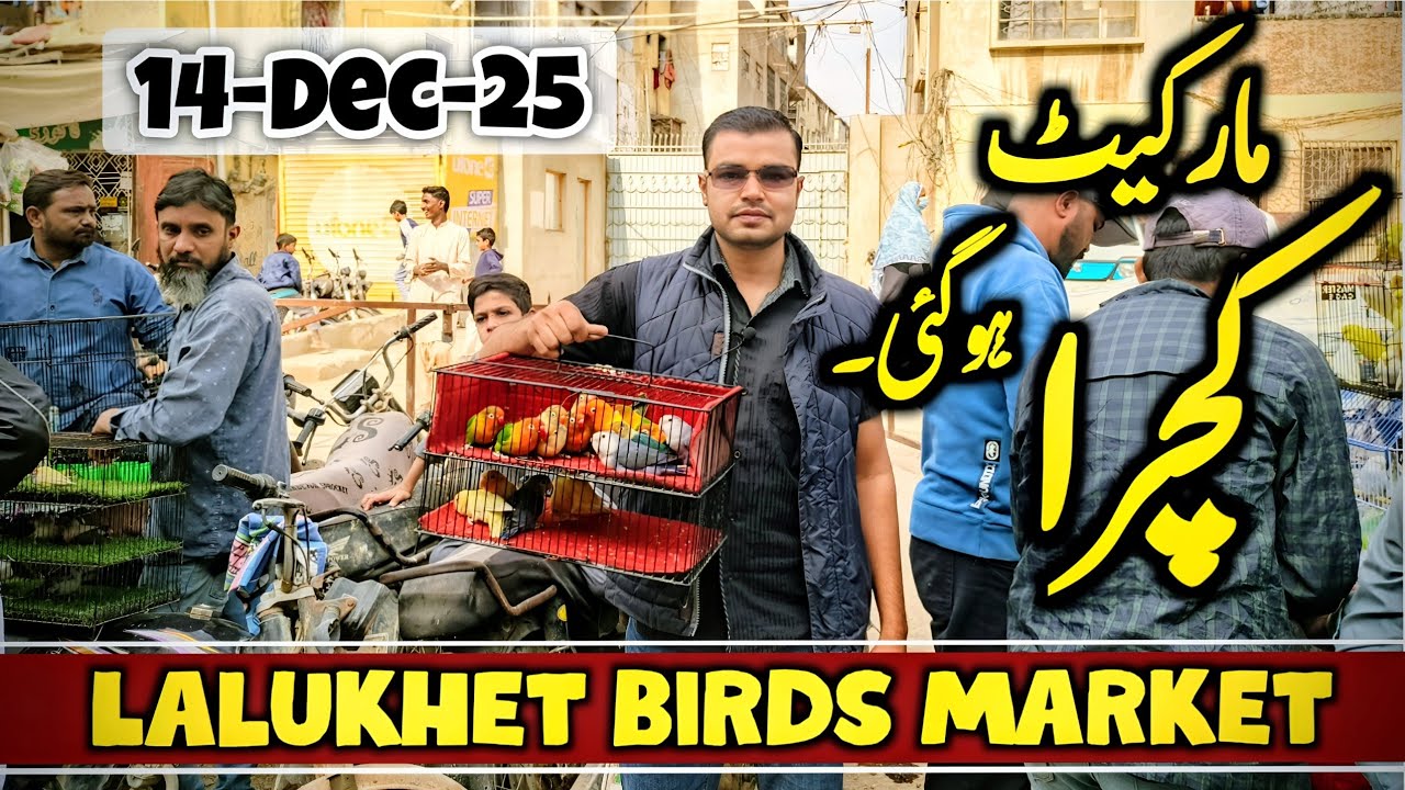 Lalukhet Birds market 14-Dec-25 | sunday birds market karachi latest update