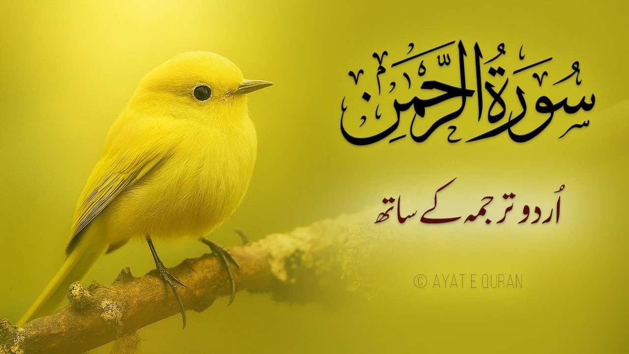 Surah Ar-Rahman with Urdu And Hindi Tarjuma | Best Quran Complete Recitation by Abdulbasit Samad