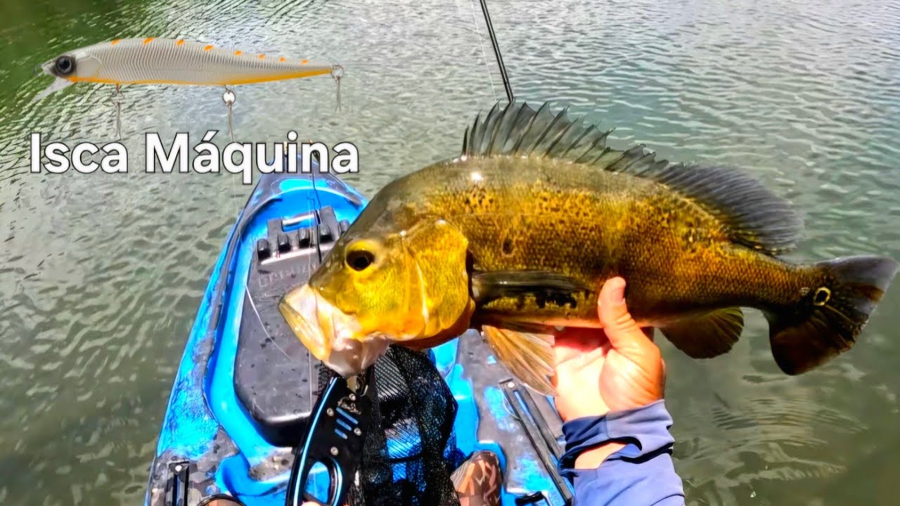Peguei tanto Tucunare que perdi as contas Lago Corumba IV - GO