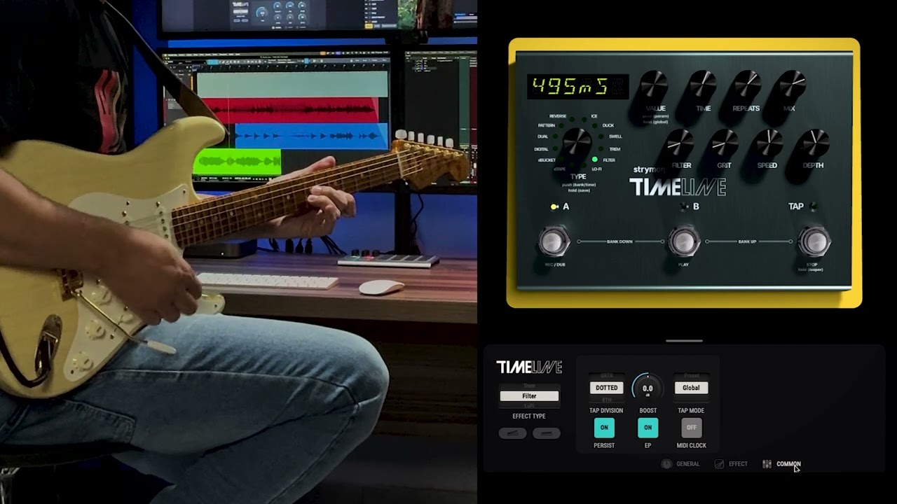 Strymon Timeline Filter Machine