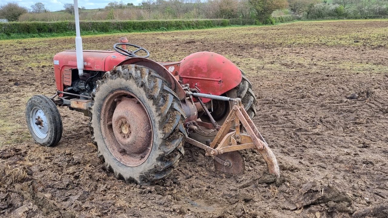 Vintage Thursday. Ferguson subsoiler at work.