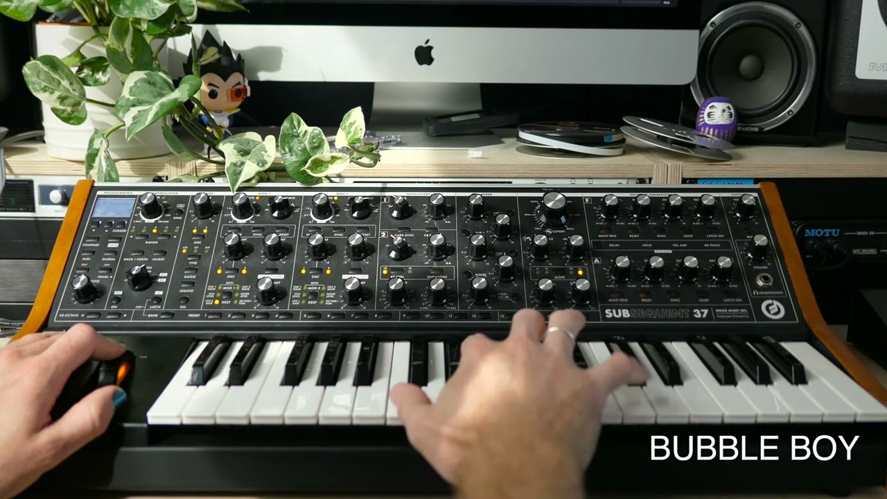 Moog Subsequent 37 Patch Set - Dave Mackay