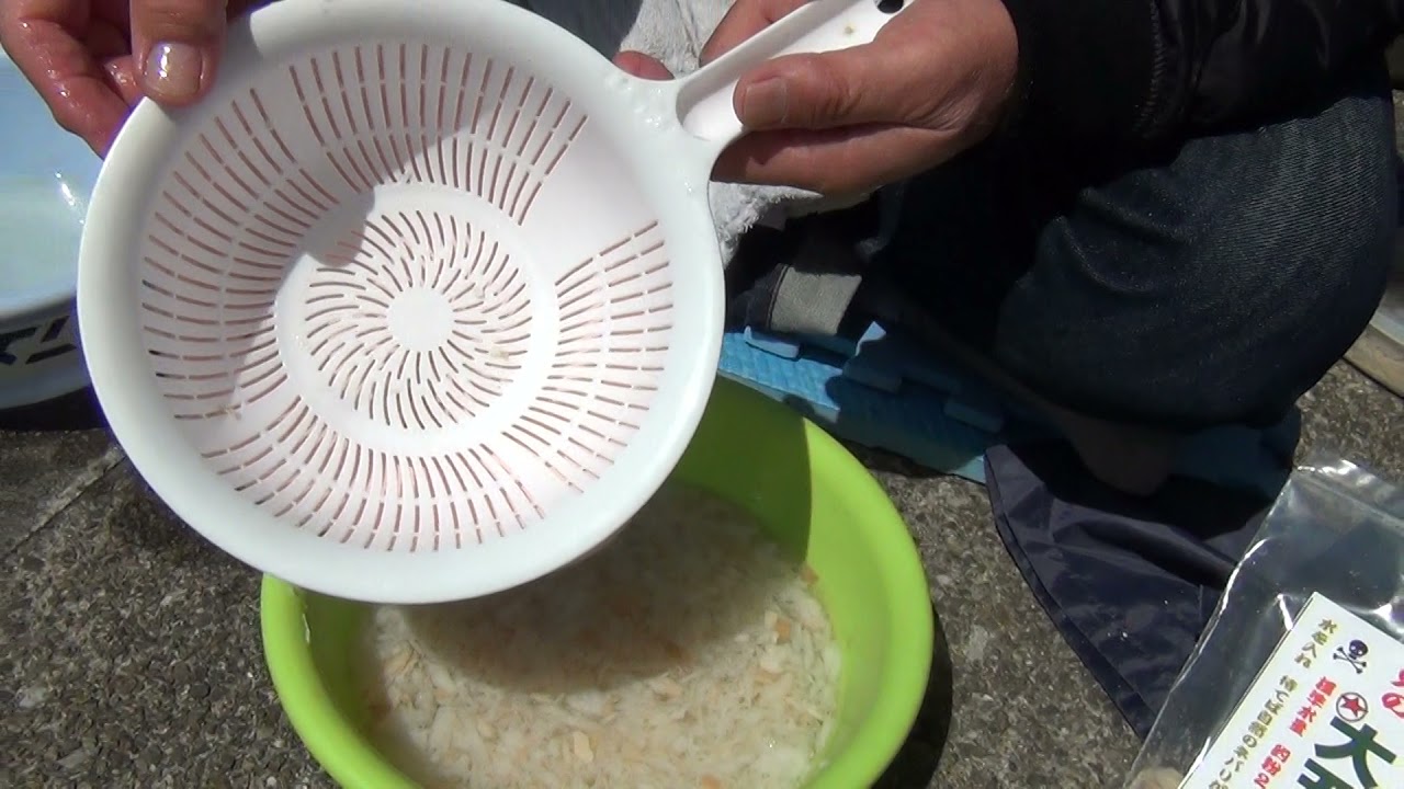 野本釣り教室１１１話　最新釣法バラケの作り方