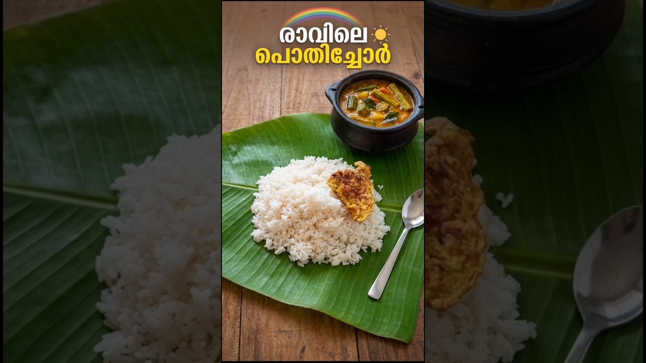 ഹൃദയപൂർവ്വം പൊതിച്ചോർ വിതരണം..#Pothichoru #Hridayapoorvam #DYFI#minivlog #thevsquad