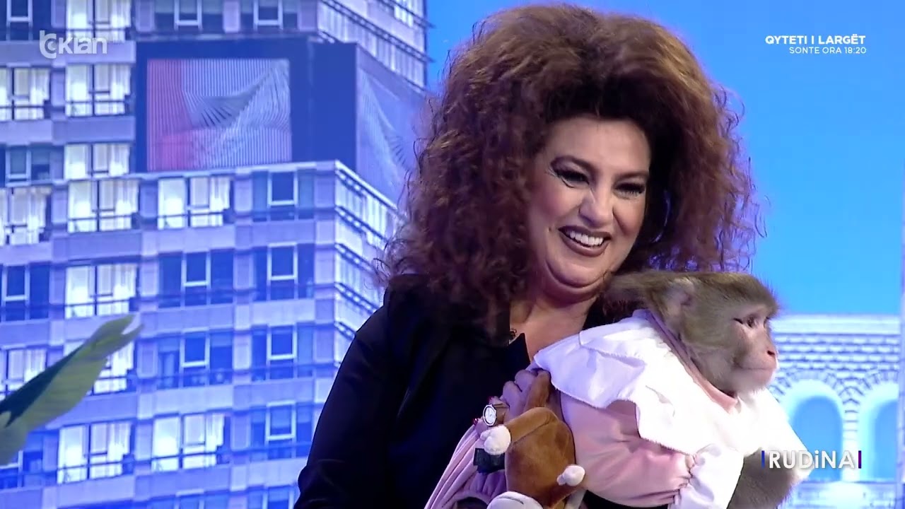 Si rrallë herë, studioja e “Rudina” kthehet në habitatin e majmunes Koko