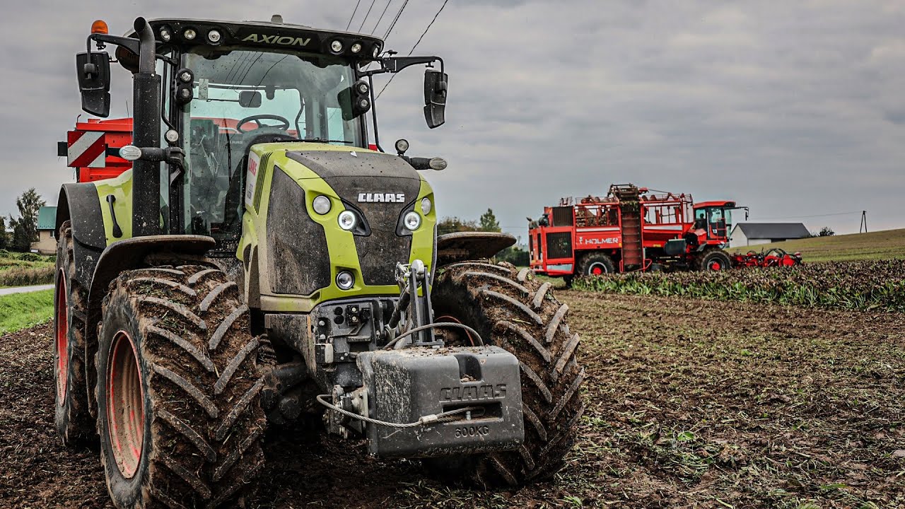 🇵🇱 Kopanie Buraków w Błocie 2021 | GR Ciesielski | 3x Claas & Holmer |