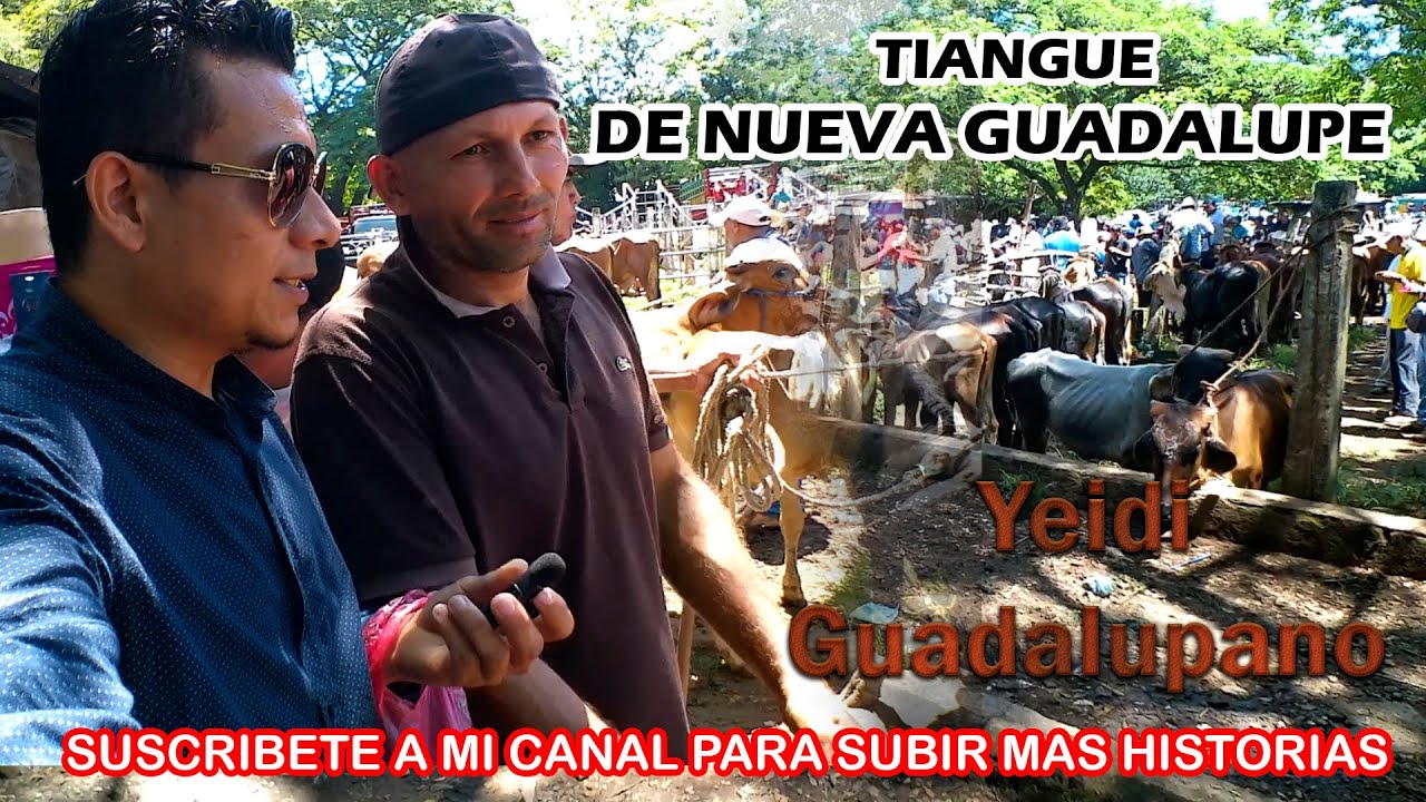 Tiangue de Nueva Guadalupe  | Yeidi Guadalupano