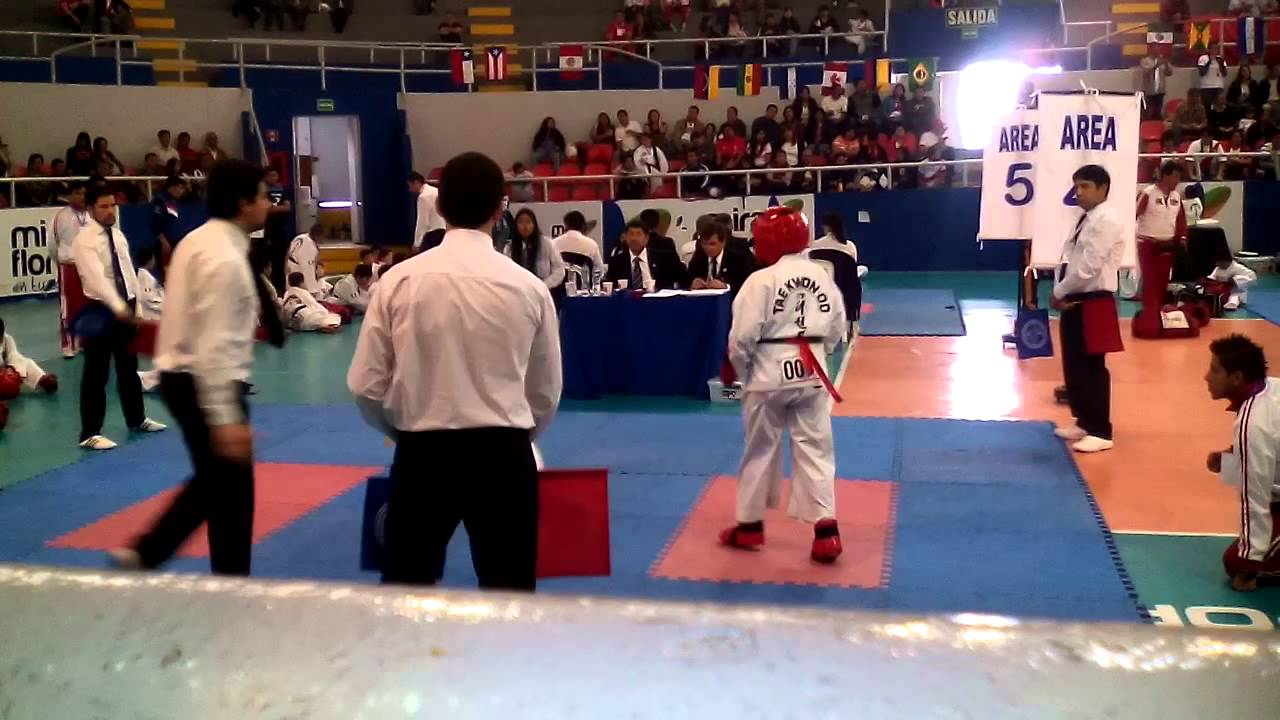 Taekwondo ,Juegos Panamericanos 2015 ,peleas de taekwondo COLOMBIA PERU,Taekwondo ITF