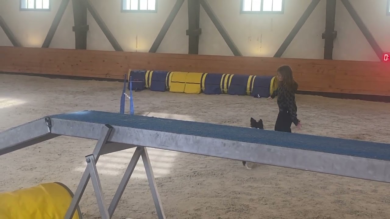 Qiana Deabei - DogFriends Cup 2026 (3/3)