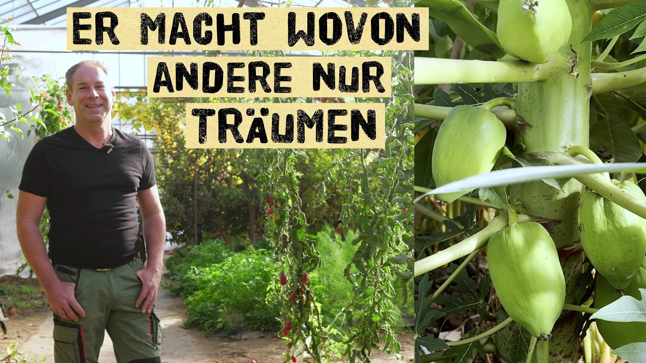 Papayas, Zitronen & Bananen in Deutschland?! – Zu Besuch in Björns unglaublichem Gewächshaus