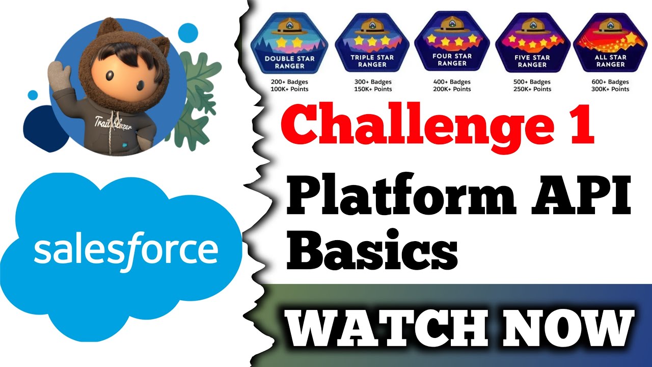 Platform API Basics | Salesforce Trailhead | Get to Know the Salesforce Platform APIs