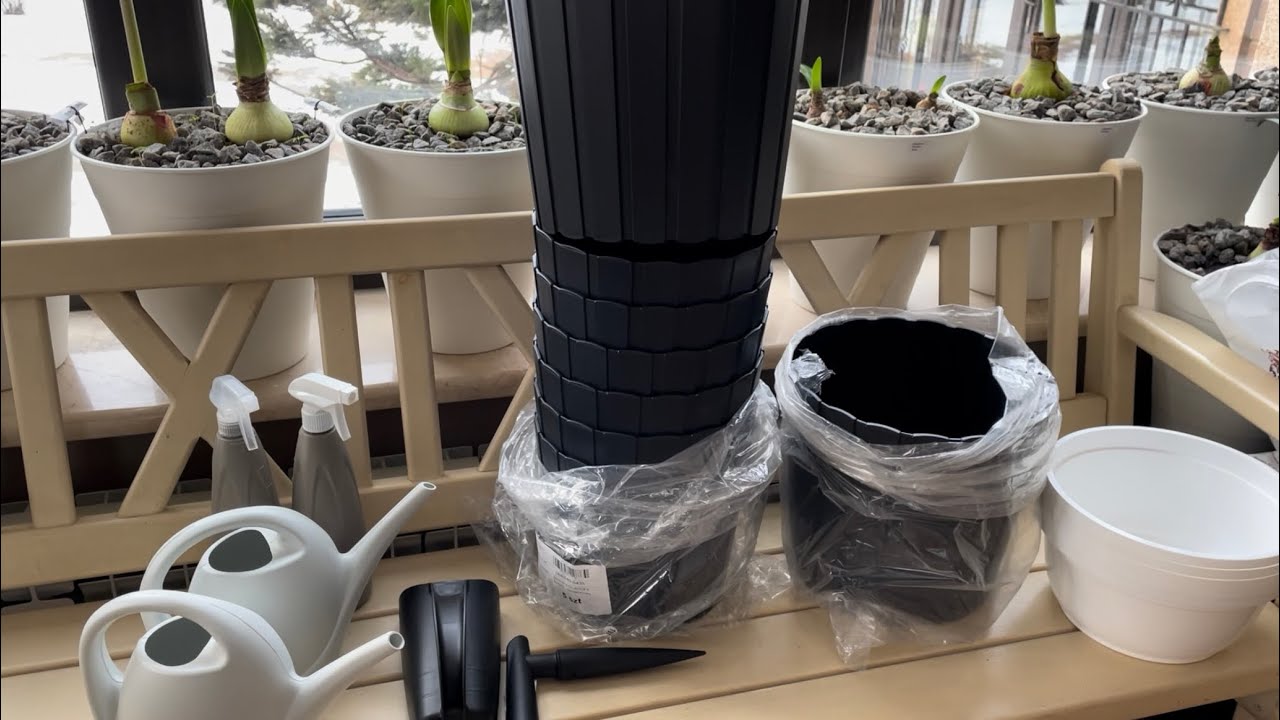ПОСЫЛКА ОТ &ldquo;FLORAMAX&rdquo;. ГОТОВИМСЯ К ВЕСНЕ!