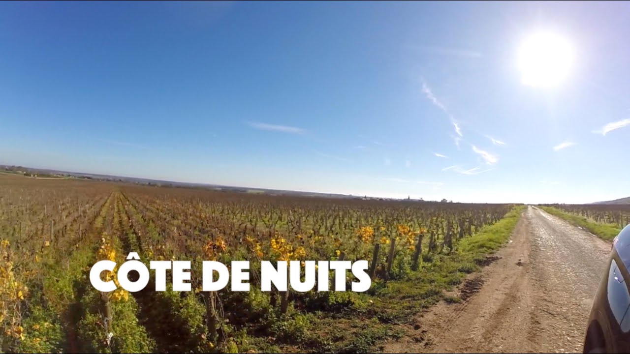 A Day in C&ocirc;te de Nuits