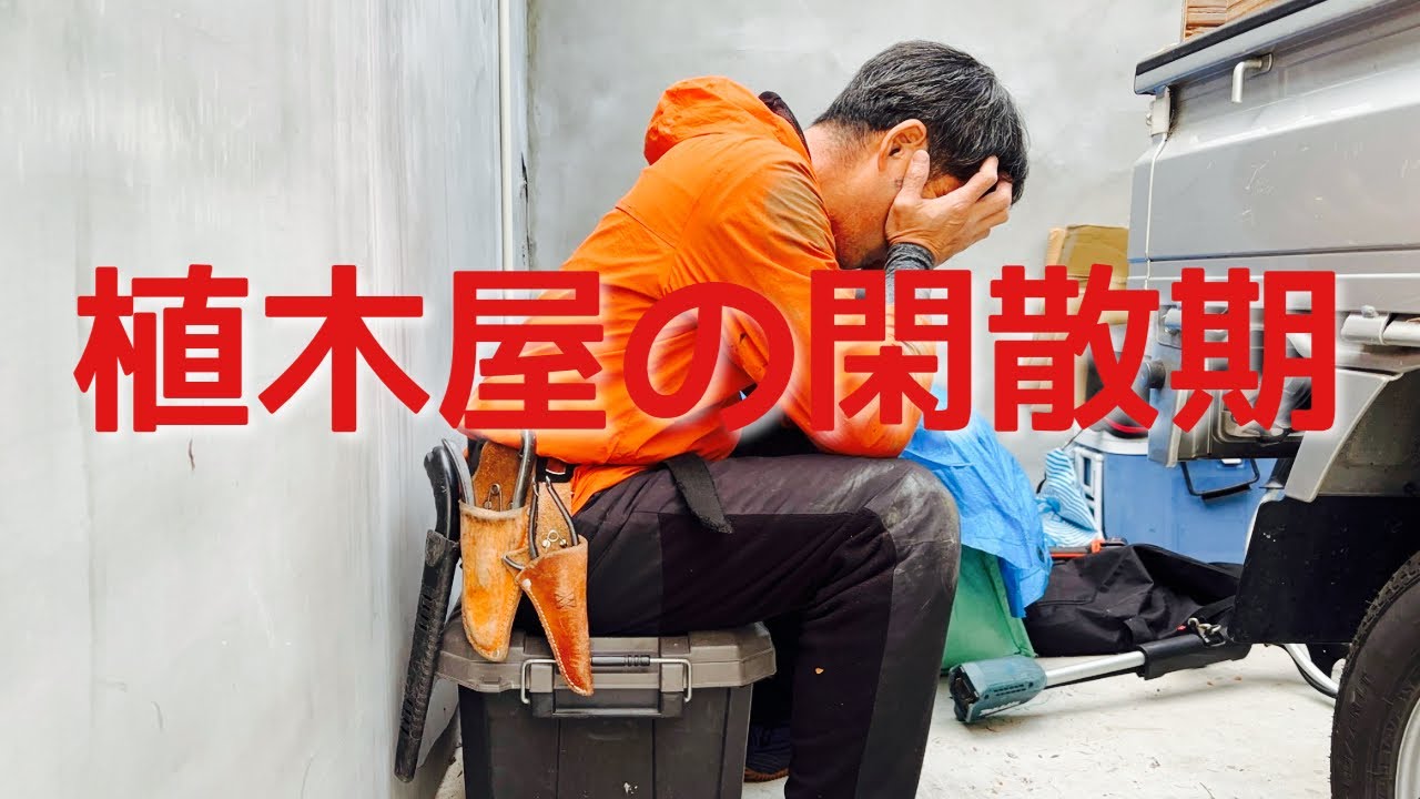 不安で辛い冬の時期いかがお過ごしでしょうか