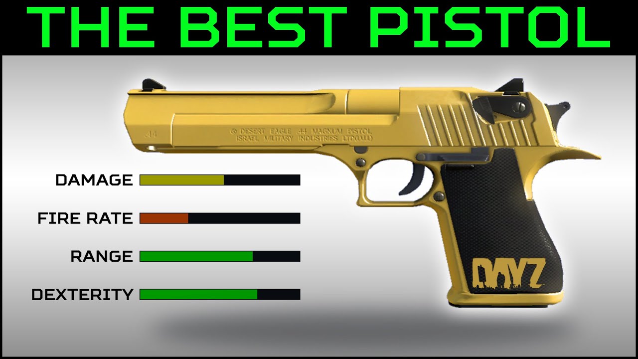 [OLD]The New Desert Eagle / Deagle | The Best Pistol in DayZ