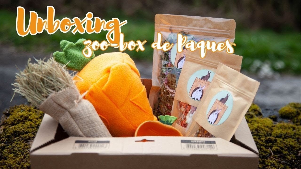Unboxing zoo-box de Pâques avec les lapins et Gucci