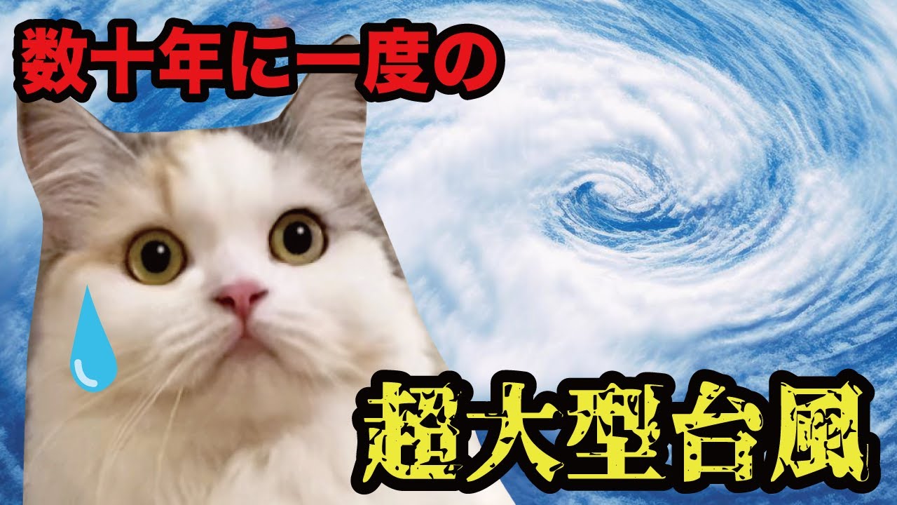 超大型台風が上陸した結果…【漫才】【コント】 【猫アニメ】